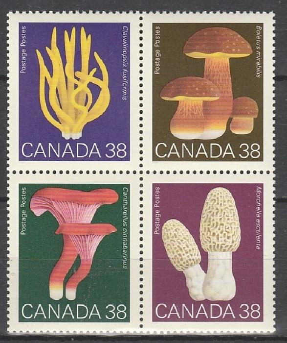 Грибы, Канада 1989, квартблок 2й вариант
